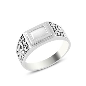 OLIVIE Pánský stříbrný prsten Mačacie oko 5714 Veľkosť prsteňov: 9 (EU: 59-61) Ag 925; ≤3,8 g.